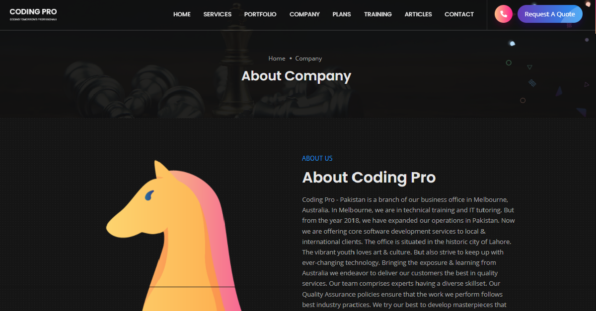 About | Coding Pro Private Limited